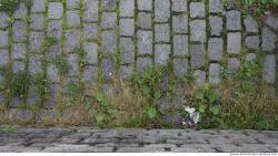 tile floor stones overgrown